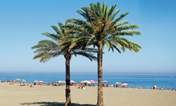 Riviera Andaluza is located